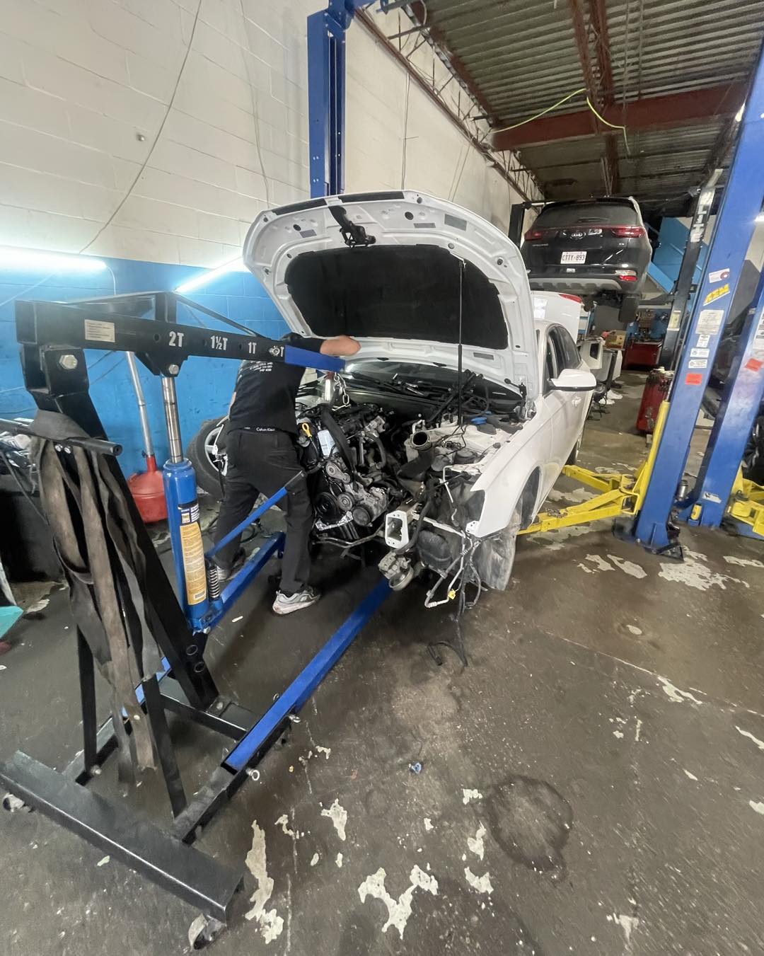 Professional auto repair at Nikta Auto Service